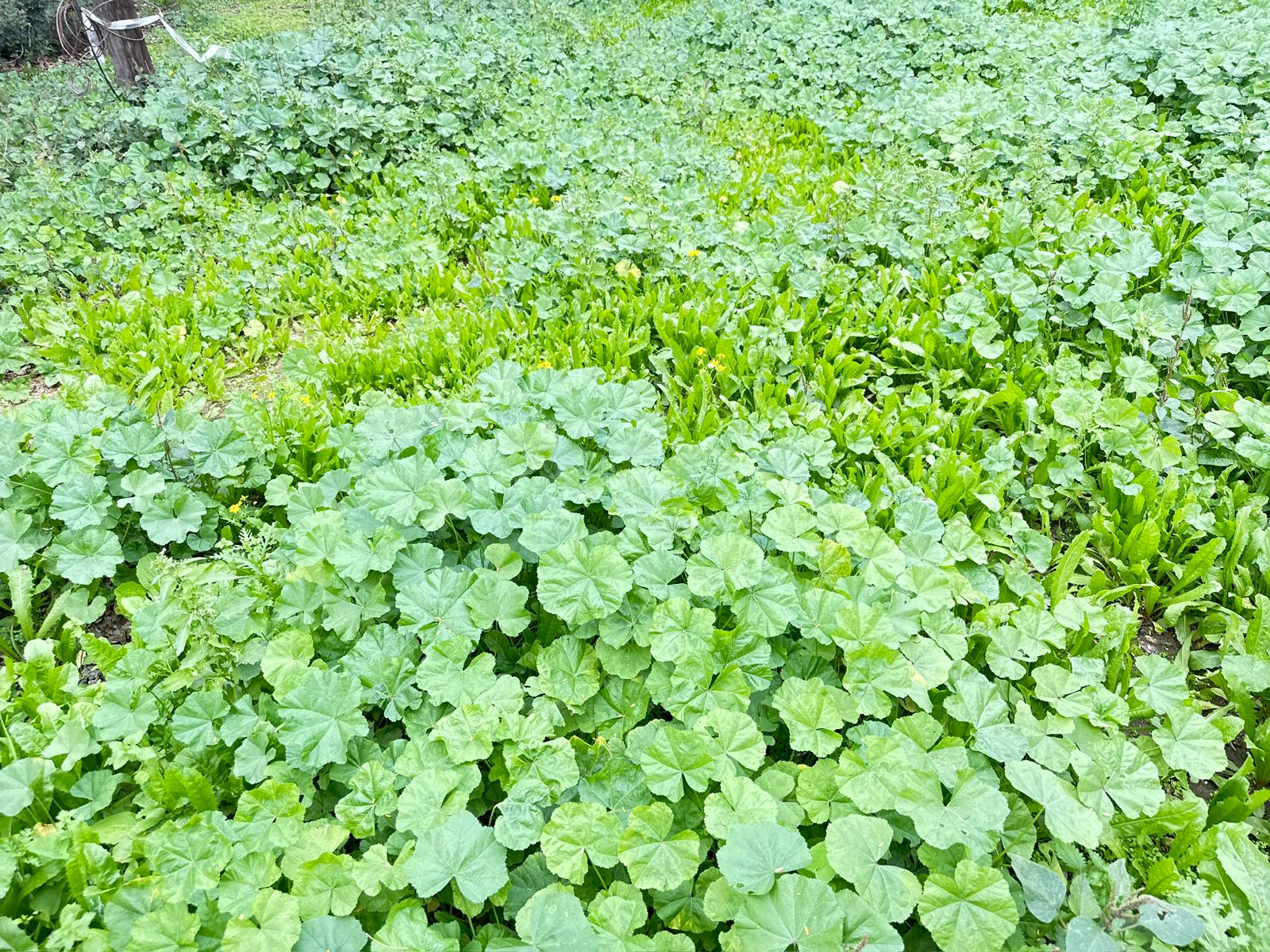 WhatsApp Image 2024-01-05 at 14.01.14.jpeg